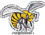 Alabama State Hornets