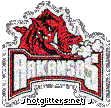 Arkansas Razorbacks