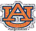 Auburn Tigers