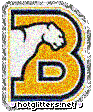 Birmingham Southern Panther