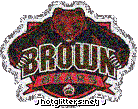 Brown Bears
