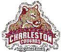 Charleston Cougars