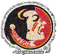 Florida State Seminoles