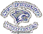 New Hampshire Wildcats