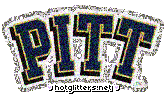 Pittsburgh Panthers