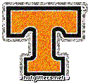 Tennessee Volunteers