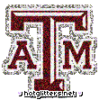 Texas Am Aggies