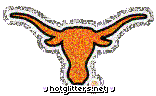Texas Longhorns