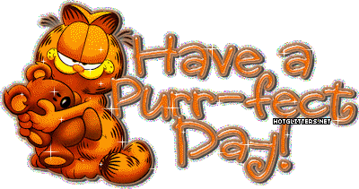 Purr Fect Day