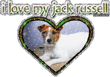 Jack Russell