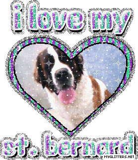 St Bernard