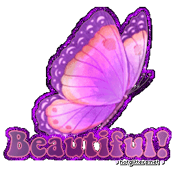 Beautiful Butterfly