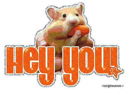 Hey You Rat