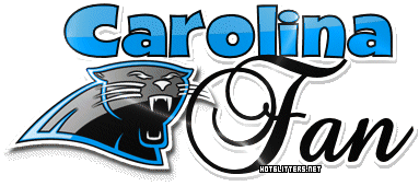 Carolina Panthers Fan