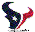 Houstan Texans