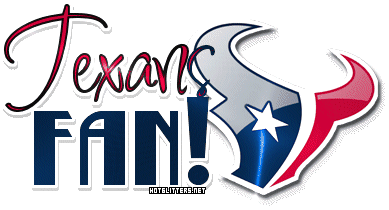 Houstan Texans Fan