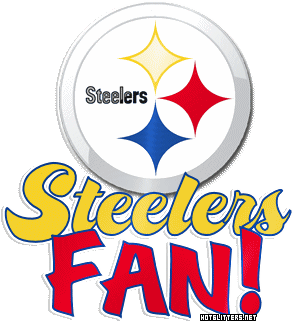 Pittsburgh Steelers Fan