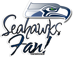 Seattle Seahawks Fan