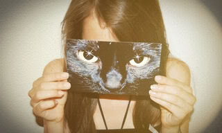 Cat Eyes Pic
