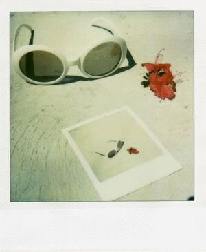 Sunglass Polaroid