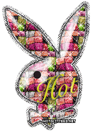 Playboy Hot