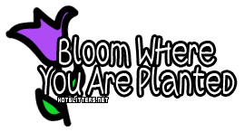 Bloom