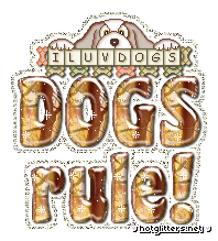 Dogs Rule