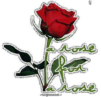 Rose For Rose