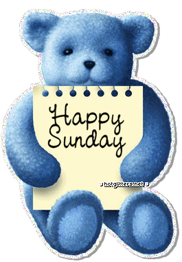 Bear Sunday