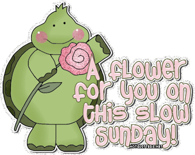 Sunday Frog