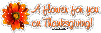 Thanksgiving Flower