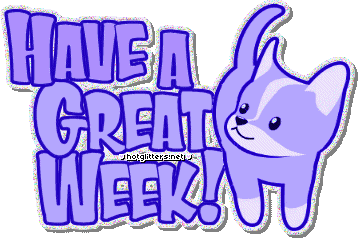 Cat Great Week